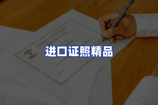 进口证件页面制证